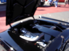 DSC02728.JPG