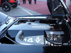DSC02813.JPG