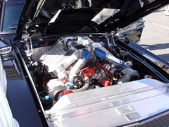 DSC02733.JPG